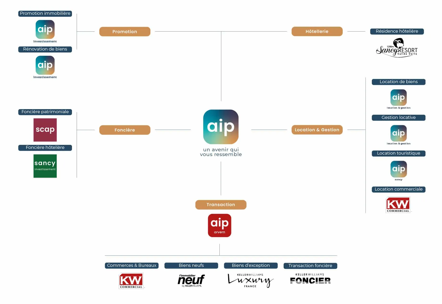 Organisation du Groupe AIP 2025